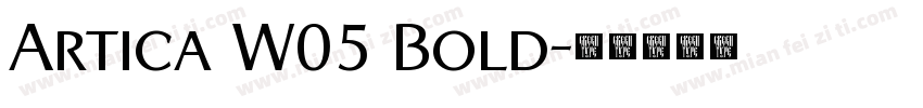 Artica W05 Bold字体转换